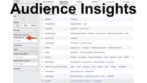 audience-insights